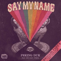 Peking Duk - Say My Name feat. Benjamin Joseph (Wuki Remix)
