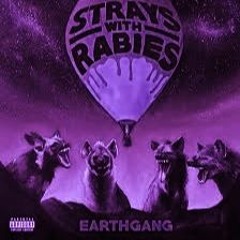 EarthGang- Missed Calls (C&S)