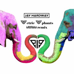 Jay Hardway - Electric Elephants (Melenium Remix)