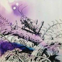 Deathless - Muda Belantara (Demo 2015)