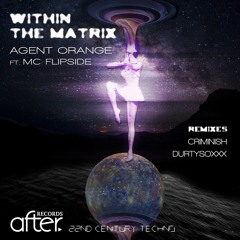 Agent Orange feat. MC Flipside - Within The Matrix (Criminish Remix)[AFTER. Records]