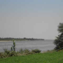 فرقة السمندل - الفراش الحائر