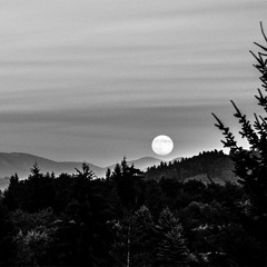 Kreep (prod. by brume)