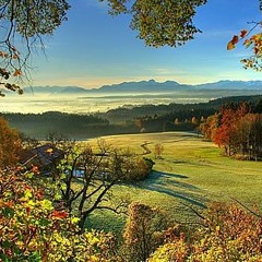 A Place Of The Hill