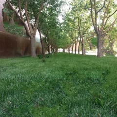 grey clouds and rain