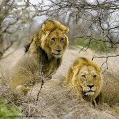 TUCboy$ & ETM Rudefreestyle