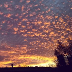 Viva La Vida - Coldplay (cover)