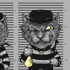 Cat Burglar