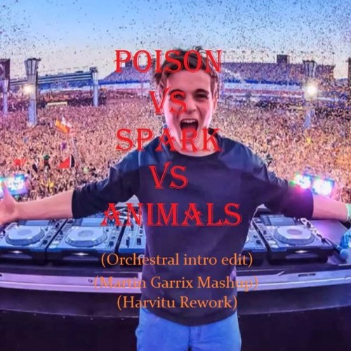 Poison vs Sparks vs Animals (Orchestral Intro Edit)(Martin Garrix Mashup)(Hardvitu Rework)