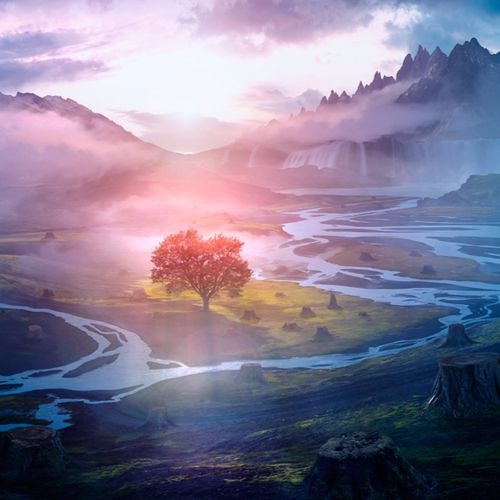 The Last Tree (Collaboration with Florian Bochkovsky)