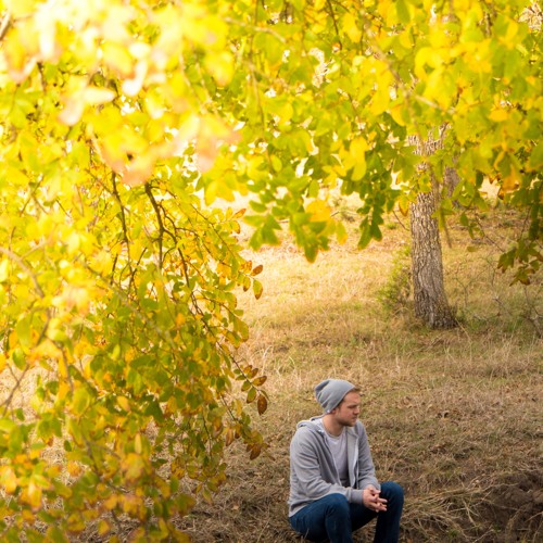 Mike Rae Trail Stream Mike Rae | Listen to Weights and Measures EP playlist online for ...