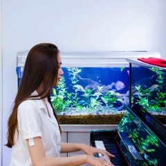 Tin Mừng Đêm Giáng Sinh - Samuel Pan