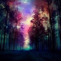 Fir Aurora