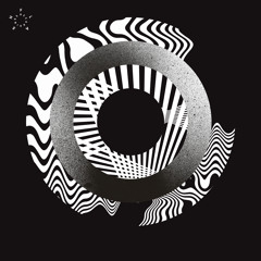 Florian Meindl - Polygon (Preview)