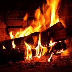 +@ TITUS ANDRONICUS - FIRED UP [ REMIX ]