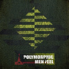 Polymorphic - Crazy Hype *FREE DOWNLOAD*