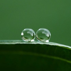 Der erste Tropfen der die Erde berührte