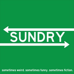 06 Young Adult Novel