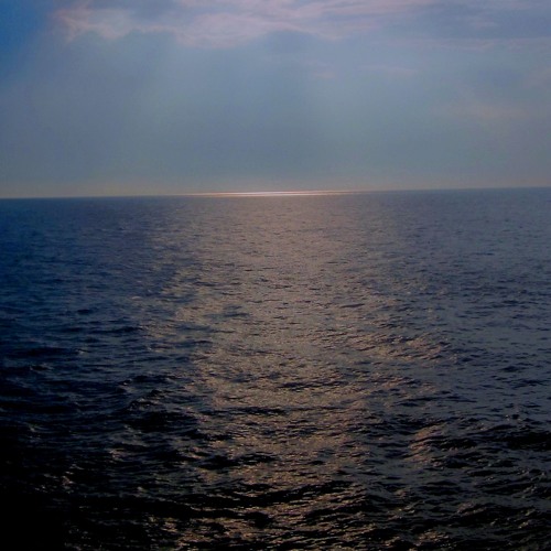Moonlight Survin´