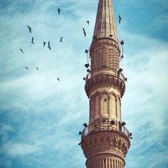 ابتهال كتير حلو - فاحت طيوب عند ذكر محمد ( صلى الله عليه وسلم )