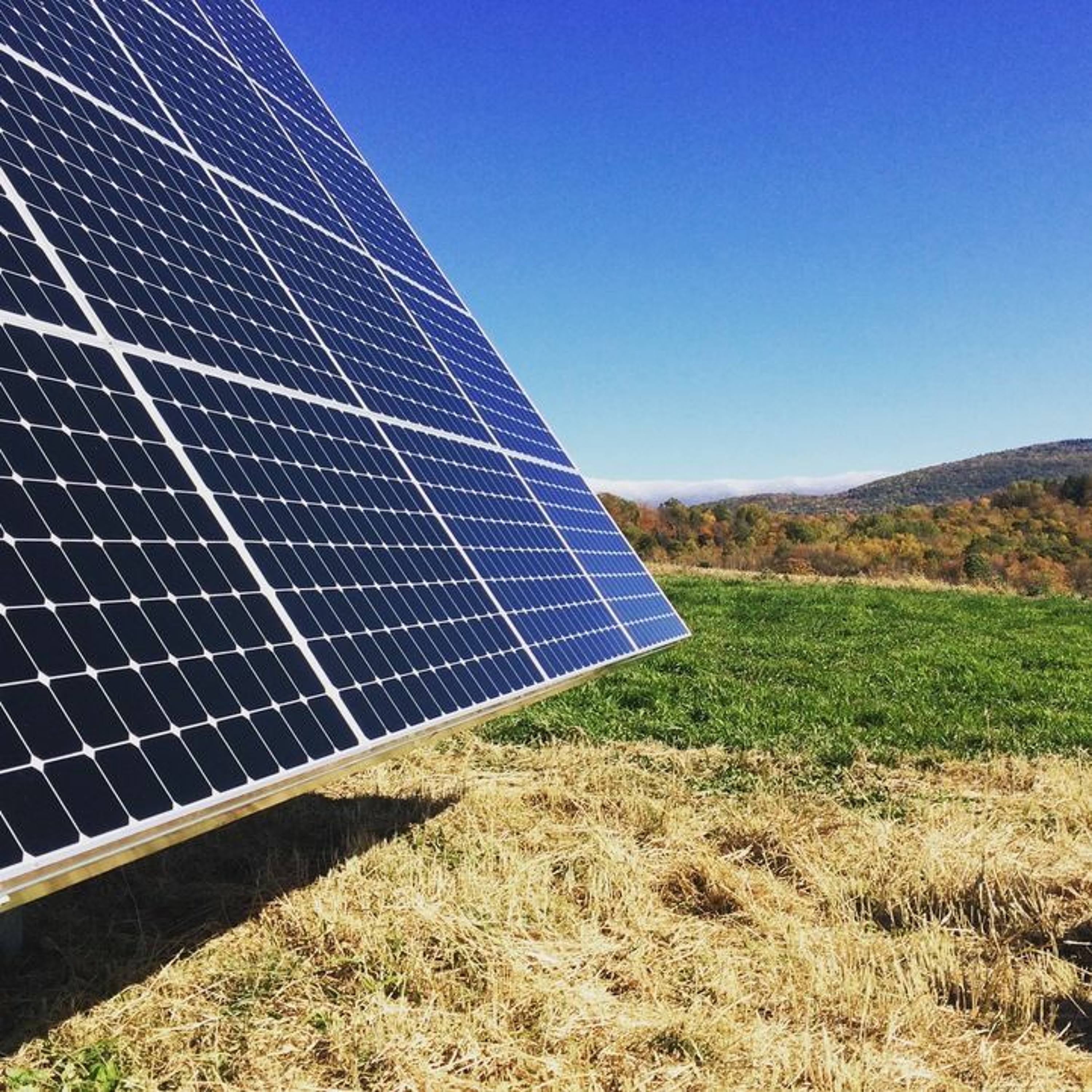 AllEarth Renewables' Andrew Savage discusses the business side of breweries and solar thumbnail