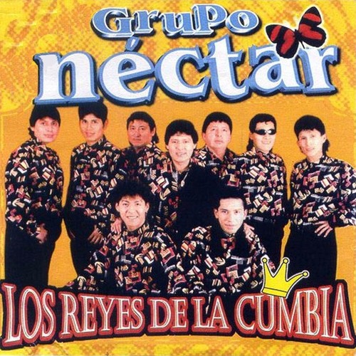 SEÑOR JUEZ GRUPO NECTAR REMIX DJ SANDER SKP