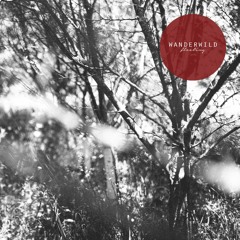 Wanderwild - "Optimist"