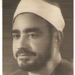 سيد النقشبندي - تلطفي ياريح بالمدينة المنورة