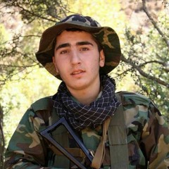 فلاش إلى أين _ مهدي شرّي