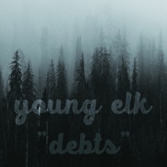 Debts