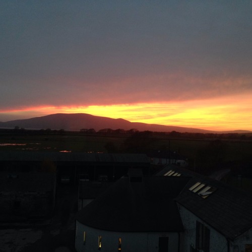 Stream Fieldfare at Caerlaverock by The Sound Farmer Listen online for free on SoundCloud