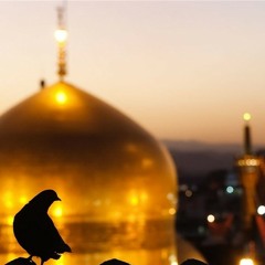 قطعه ای از بهشت  A Piece of Paradise