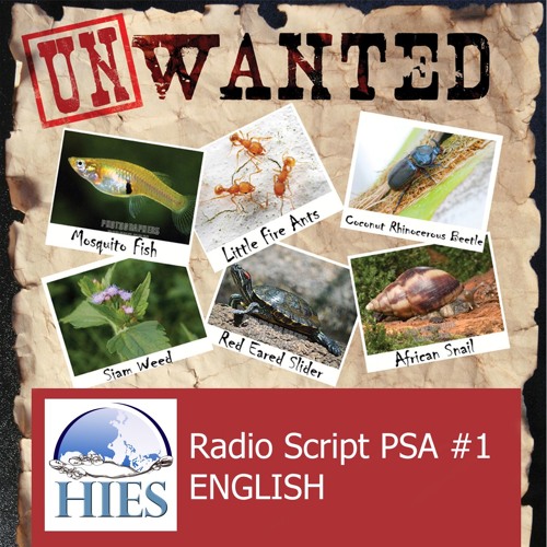 HIES - Invasive Species PSA English Radio Script  1