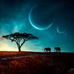 The Journey