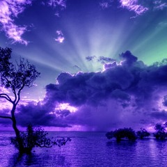 SKYFALL *TRANCE*