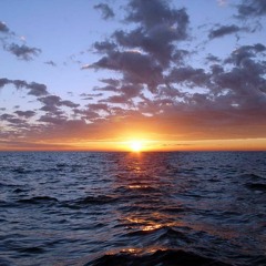 Electus - Who We Are