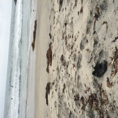 The Way You Move That Shit