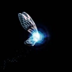 Butterfly - Bona El-Zee X Ion Sensai (Follow @ION_TSG : Produced by @BonaElZee)