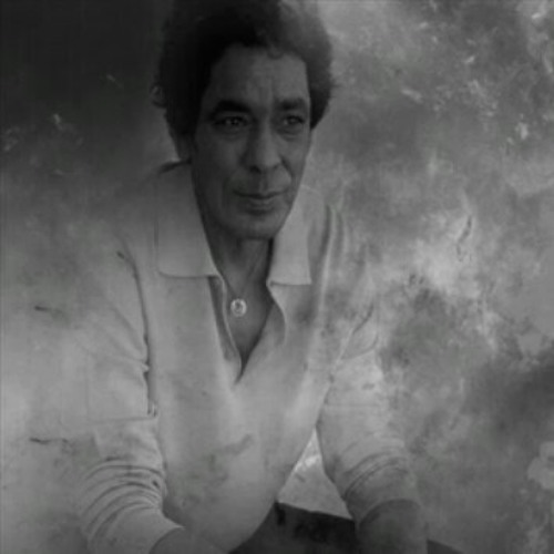 محمد منير و منيب ( جلسات )