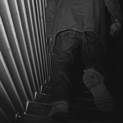 Grizz - Project Steps (GMix)