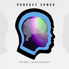 TROY NoKA - Perfect Sense Ft. Natasha Bedingfield [Prod. TROY NoKA]