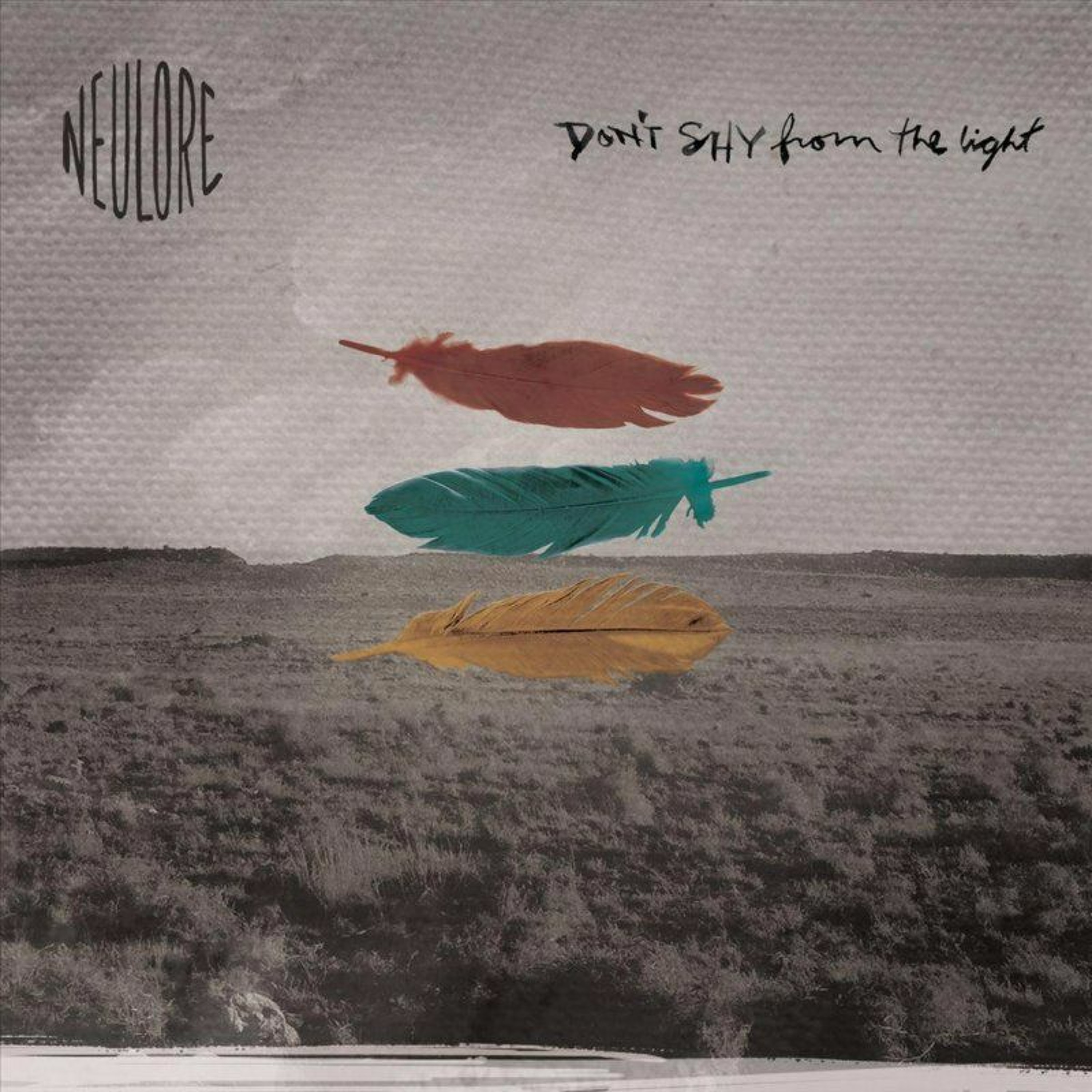Dont Shy From The Light episode artwork
