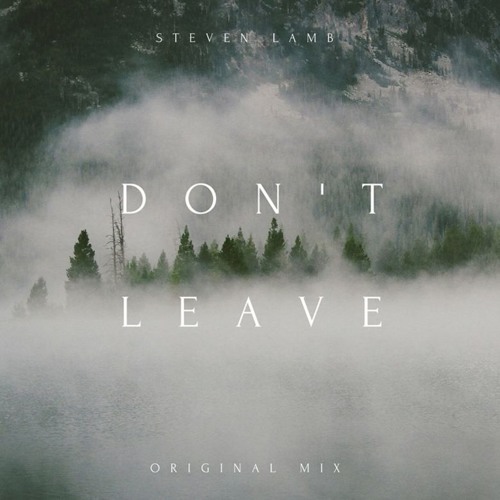 Steven Lamb - Don't Leave