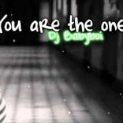 Dj BaByBoi Ft. Le3zY - You Are The One (Remix)