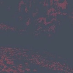c o l o r b l i n d