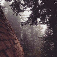 Joseph Elm - Spring, Hereafter.