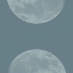 NO.12