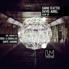 Dario D'Attis & David Aurel "Fiore" (Chus & Ceballos Remix)