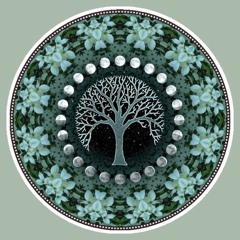 new moon grooves December 2015 - mixed live by SnϕwDrδp - guest mix by Funkyronster