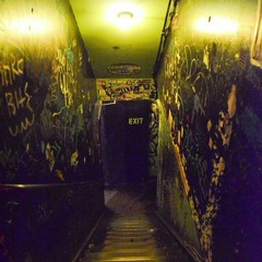 The Blind Shake "I'm not an animal" - live at Cake shop nyc